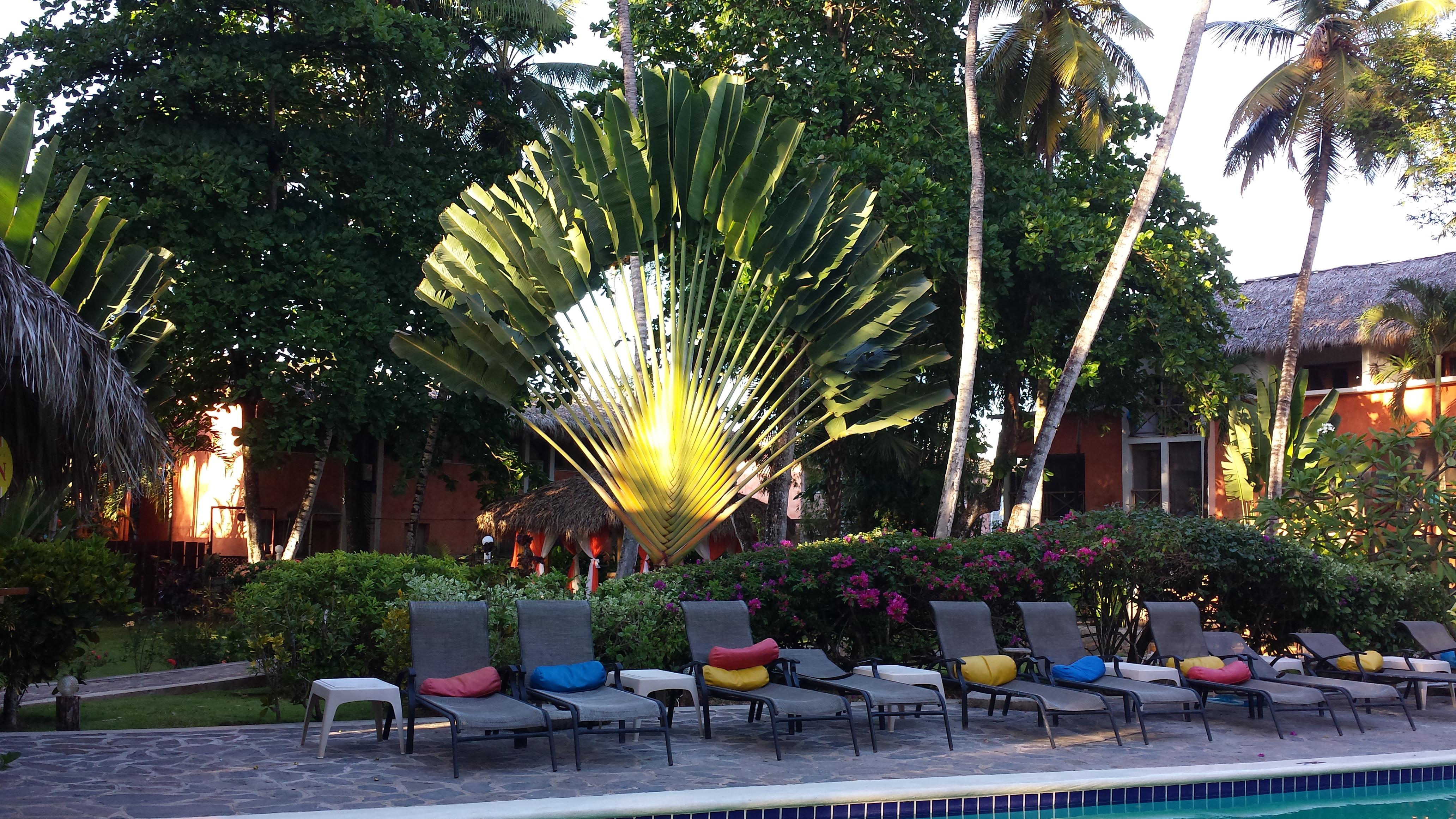 La Residencia Del Paseo Aparthotel Las Terrenas Exterior photo